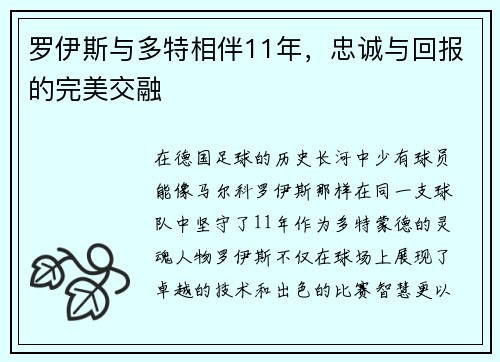 罗伊斯与多特相伴11年，忠诚与回报的完美交融
