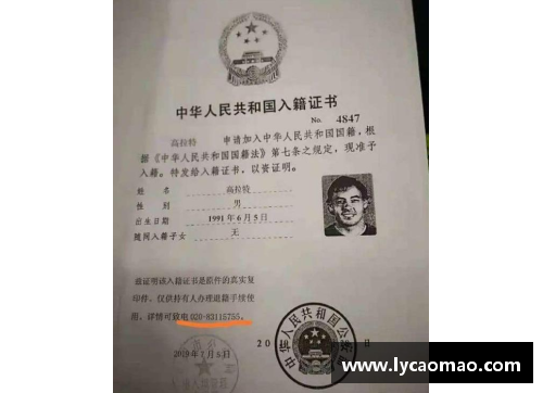 ayx爱游戏球员入籍证书的重要性及其影响：全面解析与案例分析