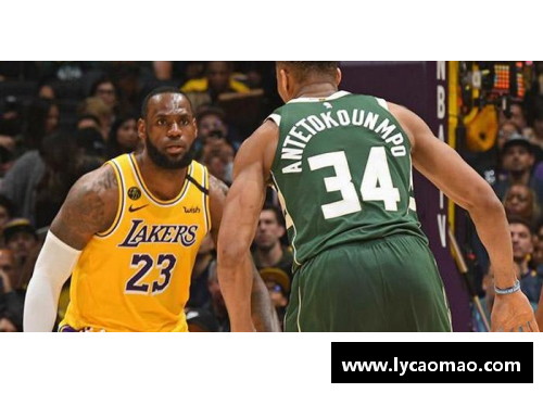 NBA球员奖项评选：背后的荣誉与争议 - 副本