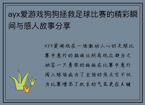 ayx爱游戏狗狗拯救足球比赛的精彩瞬间与感人故事分享